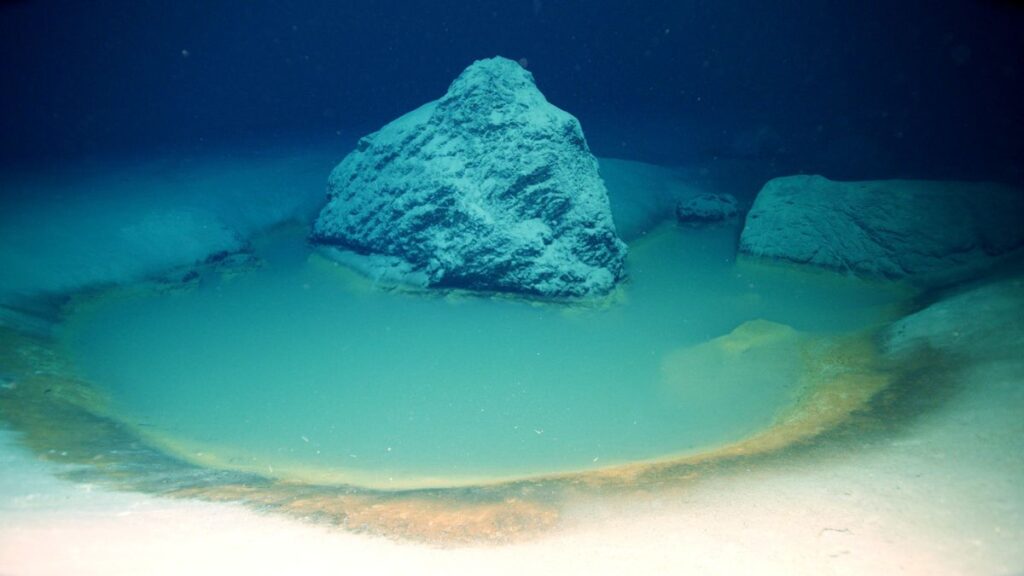 Scientists Discover Deadly Pool At Bottom Of Ocean That Kills Anything That Swims Into It